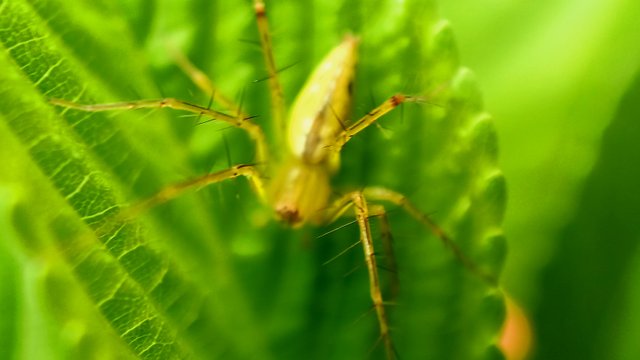 20220810_155325.jpg