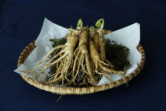 ginseng-3404958_1280.jpg