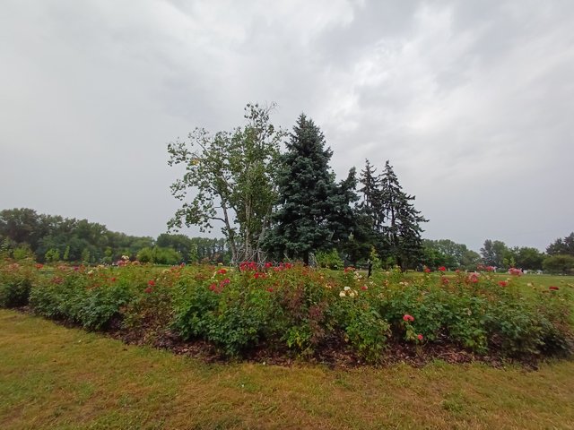 20250730_075022.jpg
