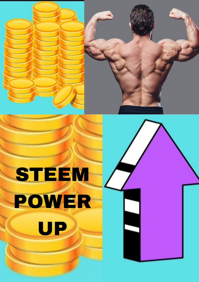 1000003732.png
