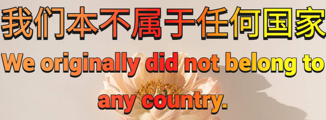 我们本不属于任何国家 (4).png