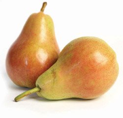 4_1_1_pear.jpg