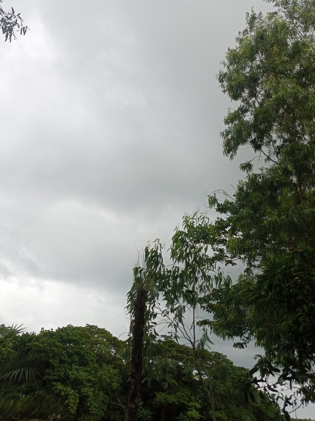 IMG20250707165804.jpg