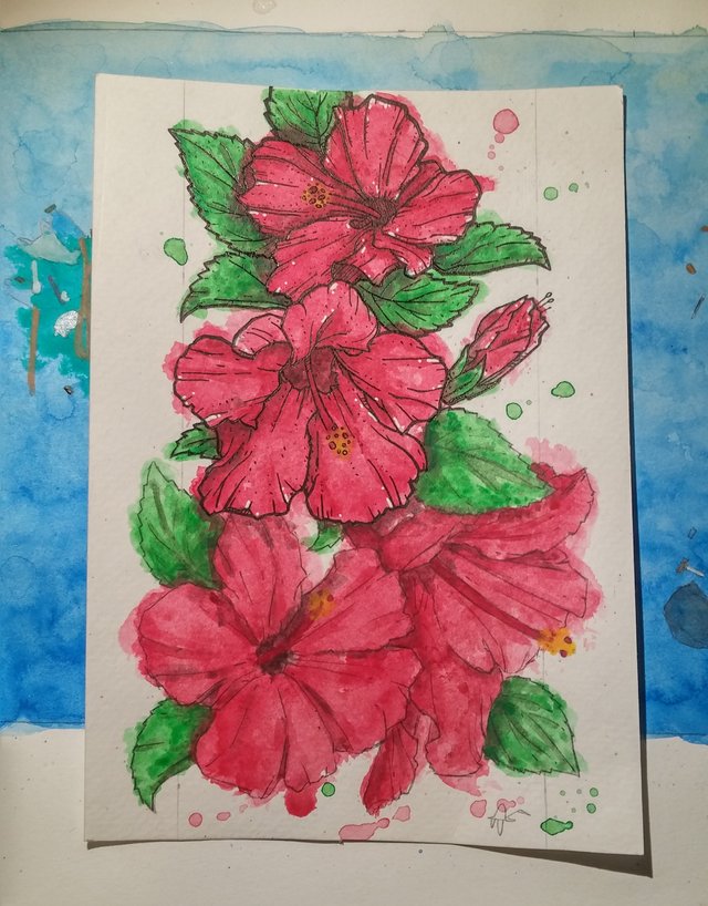 hibiscus ink 3.jpg