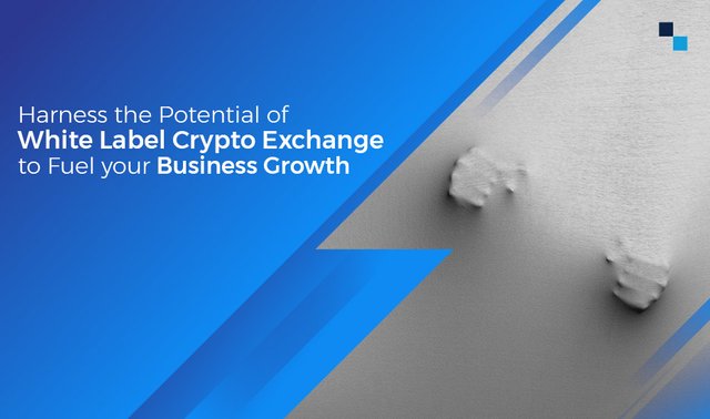 Harness-the-Potential-of-White-Label-Crypto-Exchange-to-Fuel-your-Business-Growth.jpg