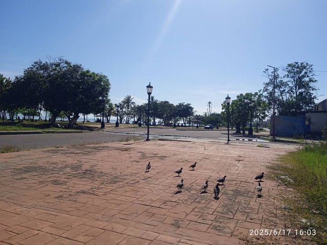 IMG-20250617-WA0155.jpg