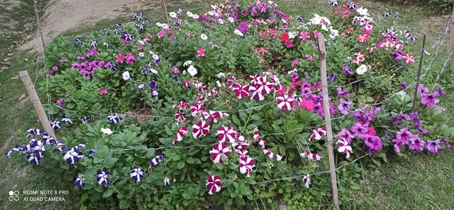 IMG_20220219_165157.jpg