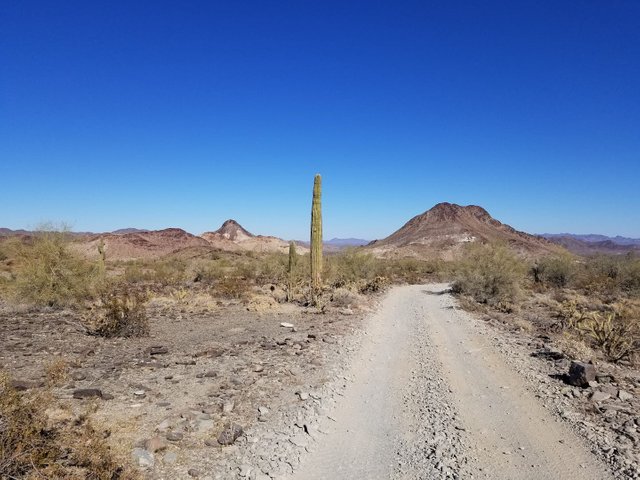 Desert Road in Arizona.jpg
