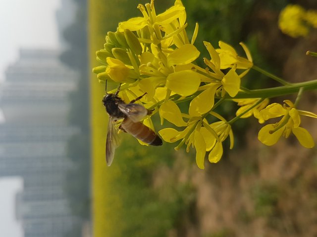 20181223_124935.jpg