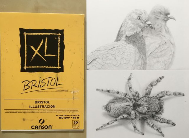 canson-xl-bristol-drawing-paper.jpg