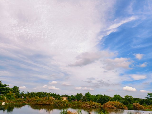 IMG_20250601_091438.jpg