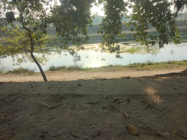 IMG20250218162056.jpg