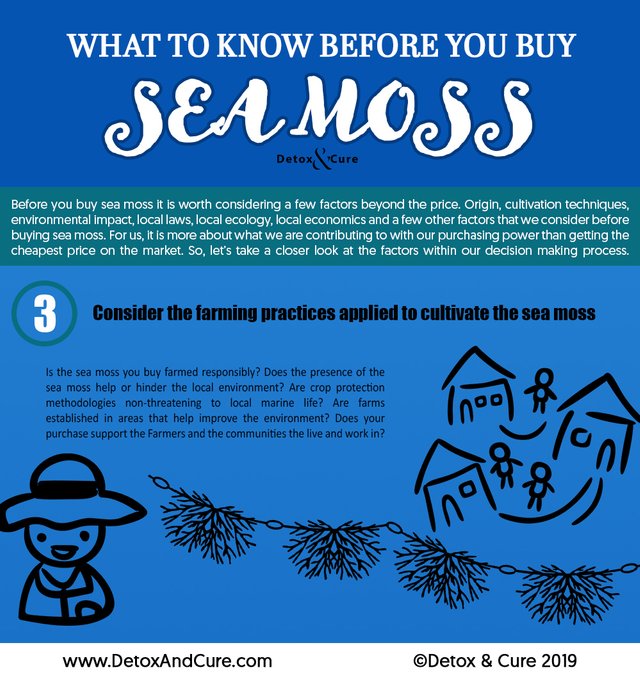 What to know before you buy Sea Moss 3.jpg