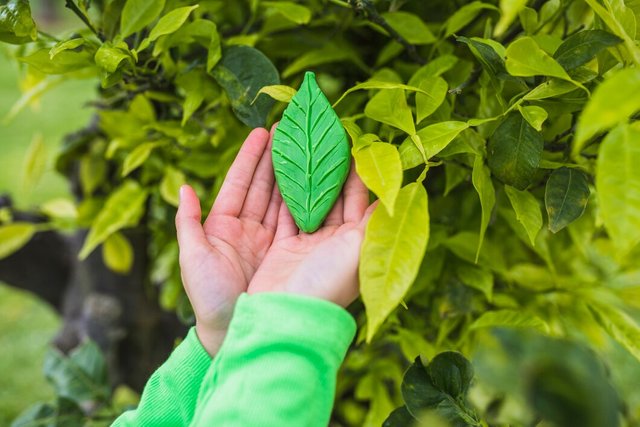 girl-s-hand-holding-clay-leaf-near-plant-park_23-2148163980.jpg