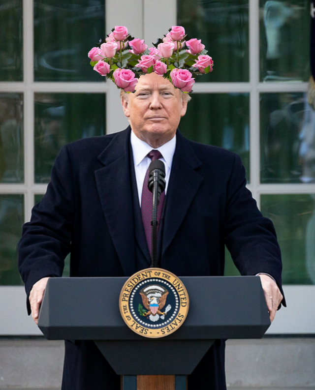 President Trump Declares National Emergency From The Rose Garden.png