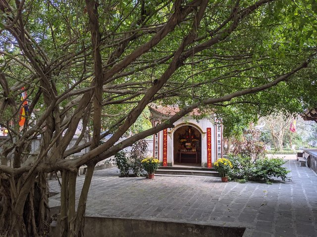 PXL_20210203_092231490.jpg
