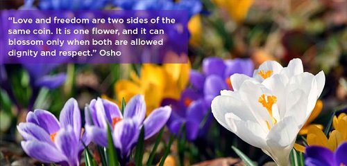 t-osho-quotees-on-love.jpg