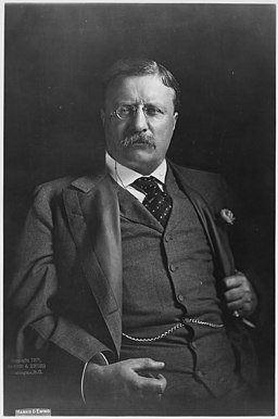 256px-Theodore_Roosevelt_-_NARA_-_298098.jpg