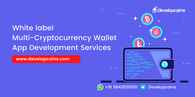 crypto-wallet-development-services (1).png