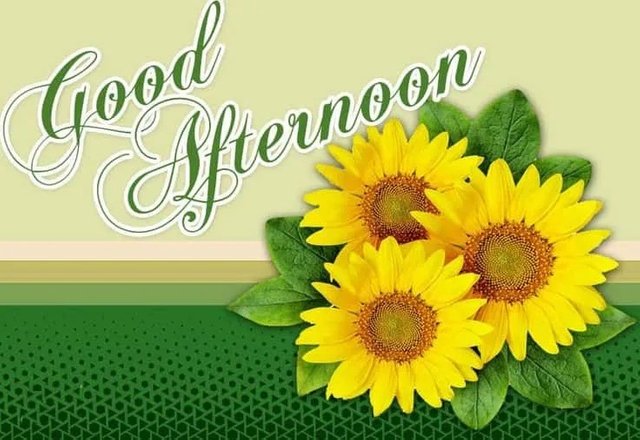 Good Afternoon Pic.jpg