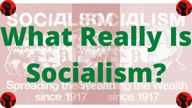 SNAP - socialism -smaller.jpg