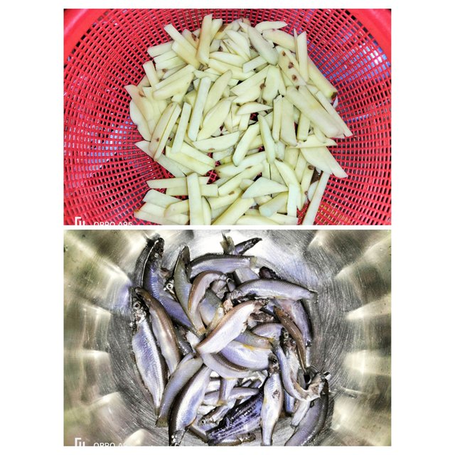 PhotoCollage_1755245414226.jpg