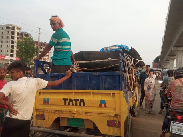 বাহন (3).jpg