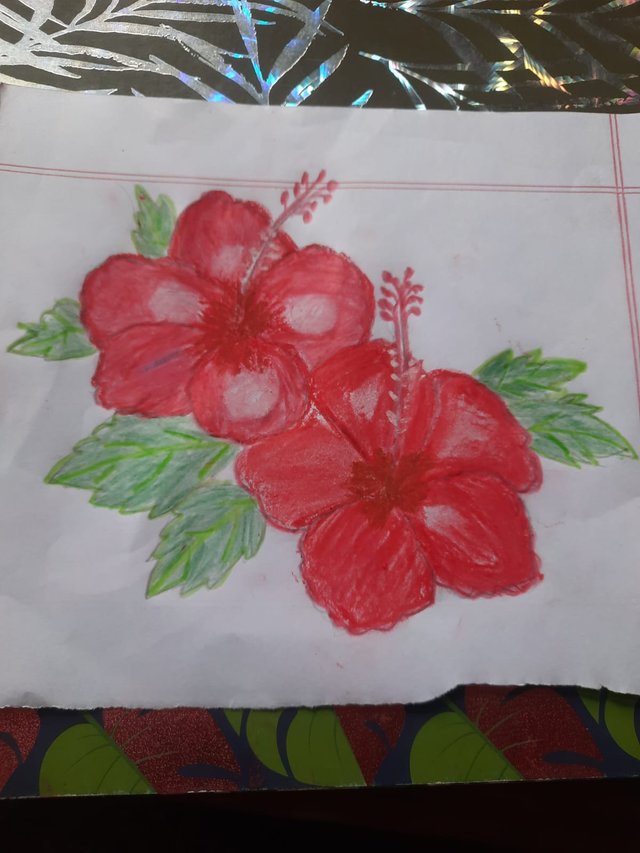 dd1d8ae7-9402-4e50-afed-9582531790a2.jpg