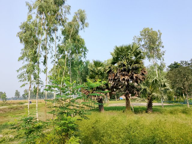 1000040797.jpg