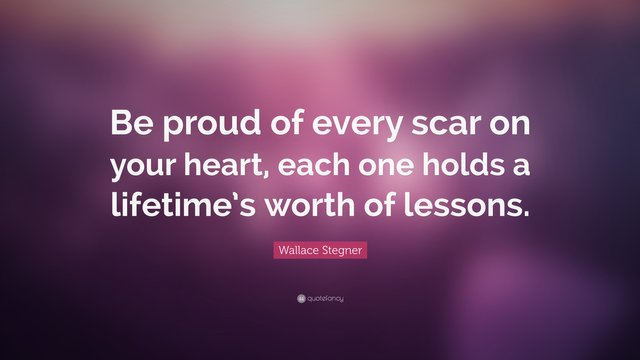 749269-Wallace-Stegner-Quote-Be-proud-of-every-scar-on-your-heart-each.jpg