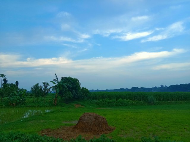 IMG_20250624_101059.jpg