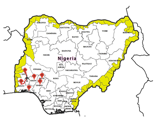 01 Map of Nigeria showing states and LGAs with international borders.png