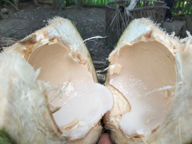 IMG20250407132237.jpeg