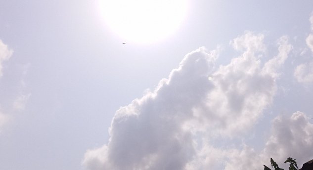 IMG_20250127_103810_146.jpg