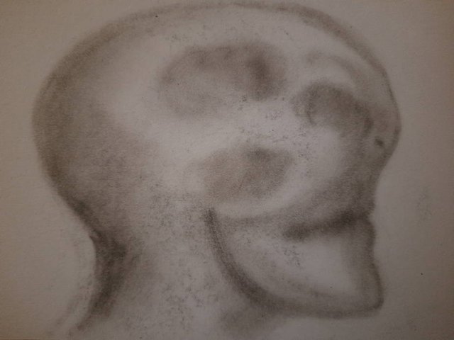 20250815_102219.jpg