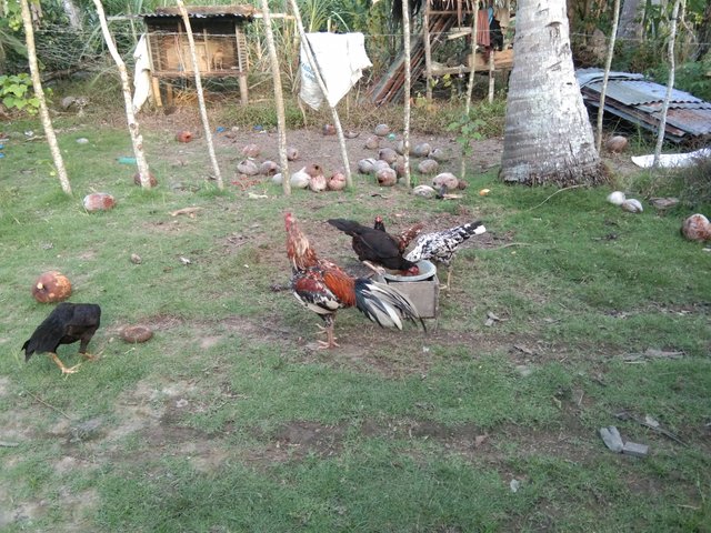 IMG_20250316_180150.jpg