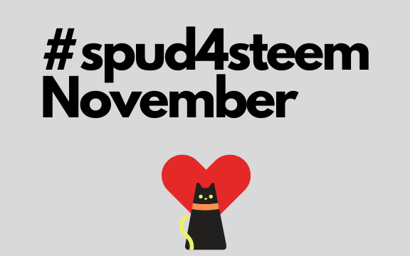 #spud4steem November.png
