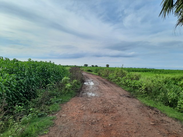 20250530_162331.jpg