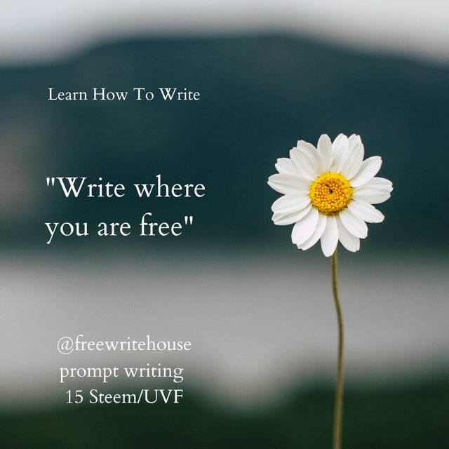 free writing 15 steem.jpg