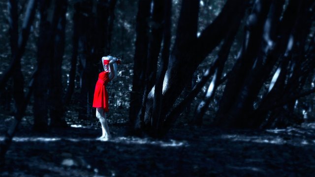 girl-in-a-red-dress-in-the-forest-1388645_1920.jpg