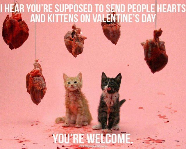 hearts and kittens.jpg