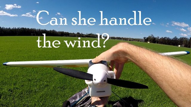 WINDY DAY thumb.JPG