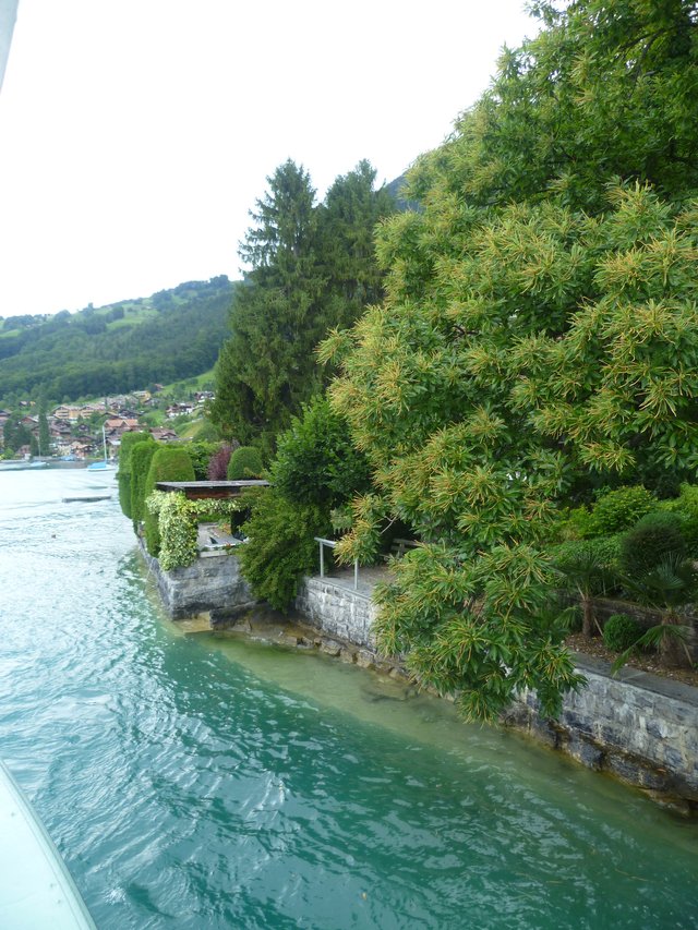 Switzerland - Cruise to Interlaken (20).JPG