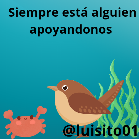 Siempre está alguien apoyandonos_20240923_101515_0000.png