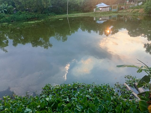 IMG20250904172322.jpg