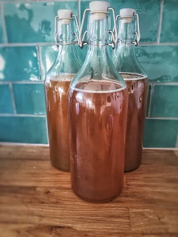 kombucha-1074594__480.jpg