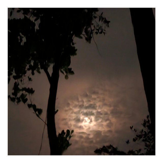 1000047708.jpg