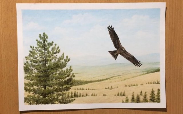 Landscape_drawing_of_a_meadow_with_a_tree_and_bird_on_the_foreground.jpg