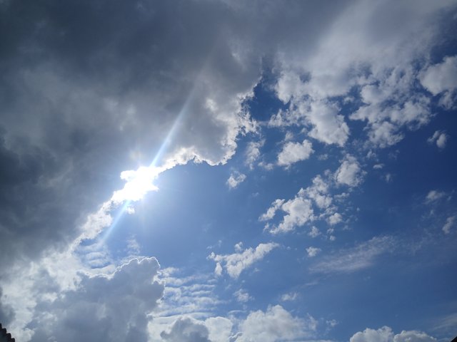 1002013913.jpg
