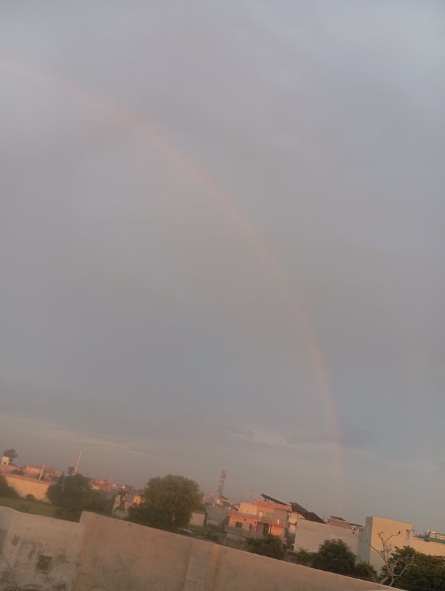 1000566500.jpg